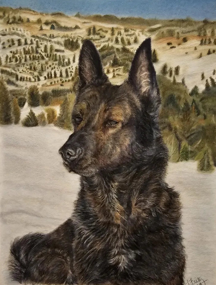 A dog sitting in the snow